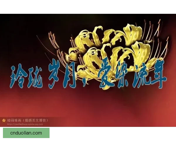 午夜辗转难眠翻开羞涩小册子悄悄擦亮心事灯下温柔回忆轻轻呢喃又悄